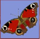 казино где можно выиграть